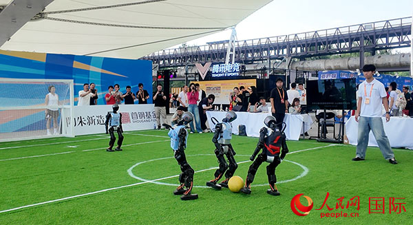 走进服贸会：“在服贸会上播下合作的种子”(图4)