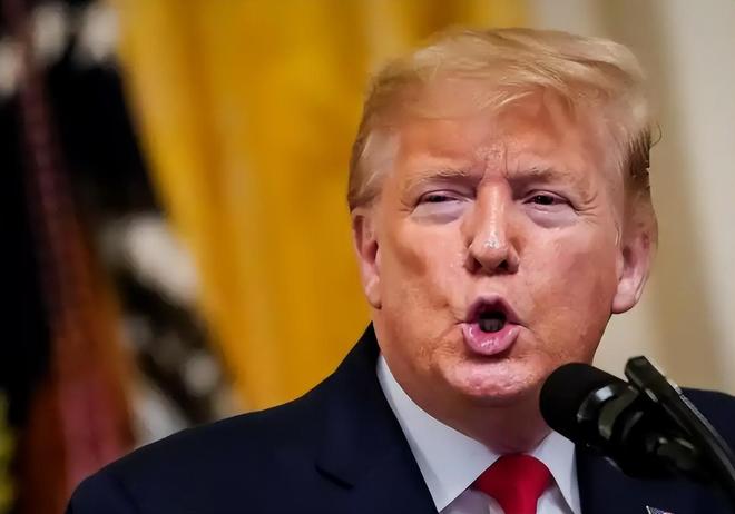 特朗普被裁定性侵79岁女作家：他强迫我靠墙上随后强奸了我(图10)