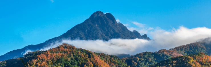 三亚海棠华府房价户型图开盘时间详情售楼处电话多少？(图2)