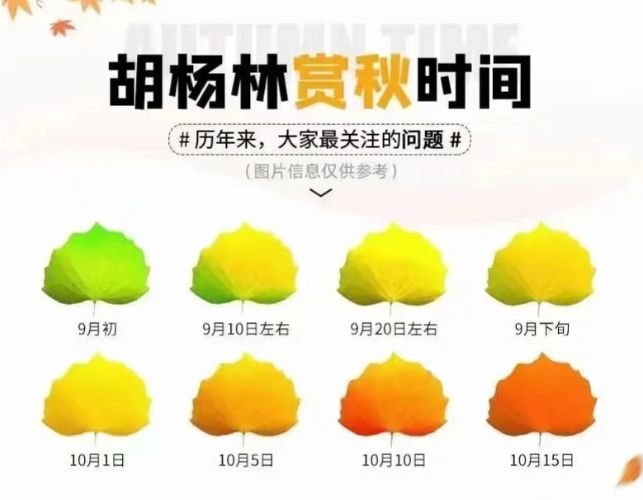 额济纳旗胡杨林景区游玩指南：远胜游亲测最佳时间及必看景点解析(图2)