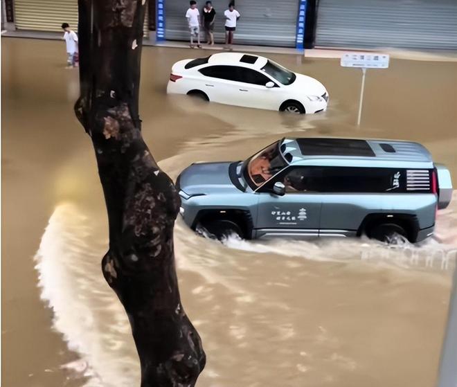 台风天开车“冲浪”后续：司机被行拘身份遭扒难怪做出这种事(图2)