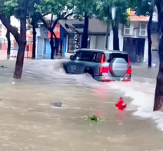 台风天开车“冲浪”后续：司机被行拘身份遭扒难怪做出这种事(图3)