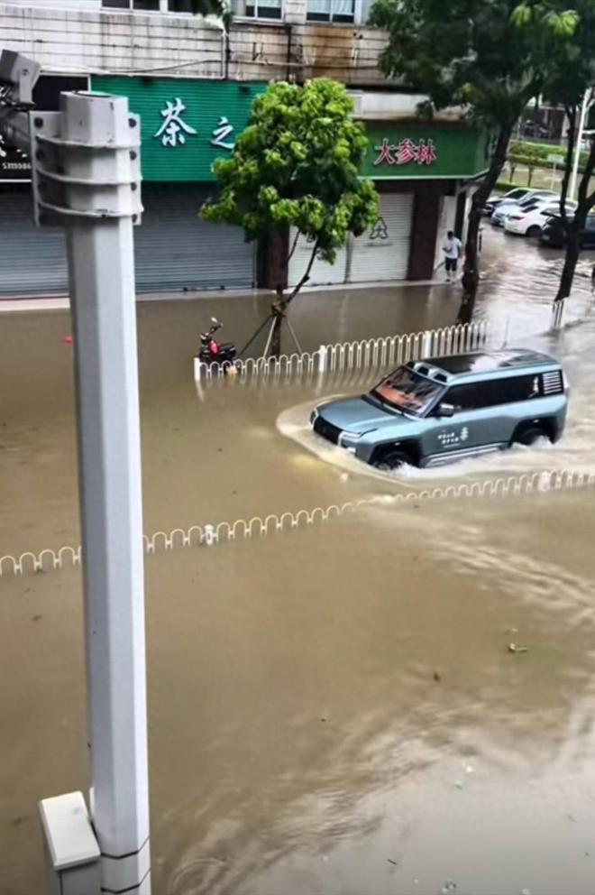 台风天开车“冲浪”后续：司机被行拘身份遭扒难怪做出这种事