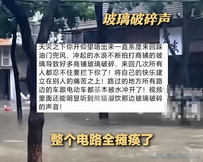 台风天开车“冲浪”后续：司机被行拘身份遭扒难怪做出这种事(图15)