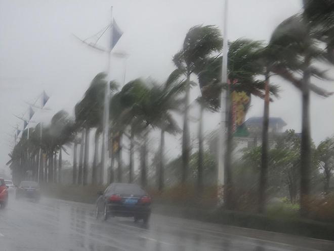 台风天开车“冲浪”后续：司机被行拘身份遭扒难怪做出这种事(图22)