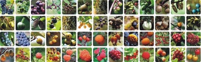 定向赛选手福利：崇义全景区免票嗨玩！(图11)