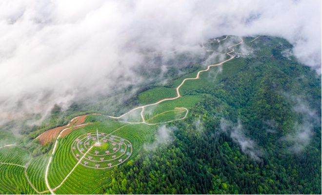 定向赛选手福利：崇义全景区免票嗨玩！(图8)