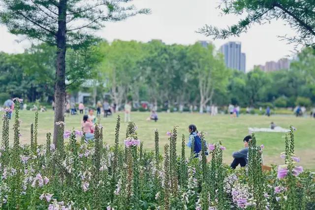 这些室内外运动好去处潮玩与经典一键解锁(图2)