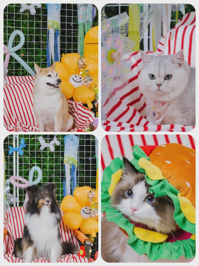 Klook 2025产研校园实习生第二批 招聘启动！神仙公司等你来撩(图3)