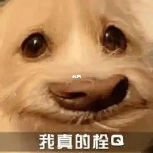 炸裂大瓜！全球最大的电诈案告破电诈头子赃款被米国“抄家”？(图23)