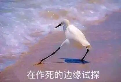 炸裂大瓜！全球最大的电诈案告破电诈头子赃款被米国“抄家”？(图25)