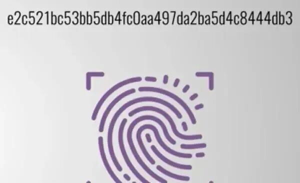 炸裂大瓜！全球最大的电诈案告破电诈头子赃款被米国“抄家”？(图19)