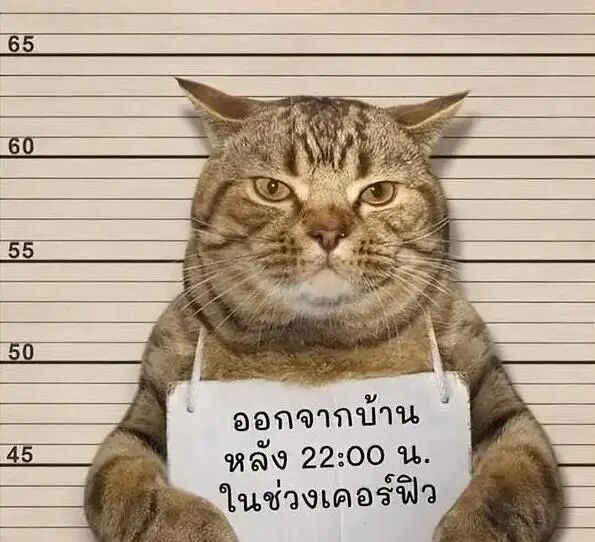 炸裂大瓜！全球最大的电诈案告破电诈头子赃款被米国“抄家”？(图18)