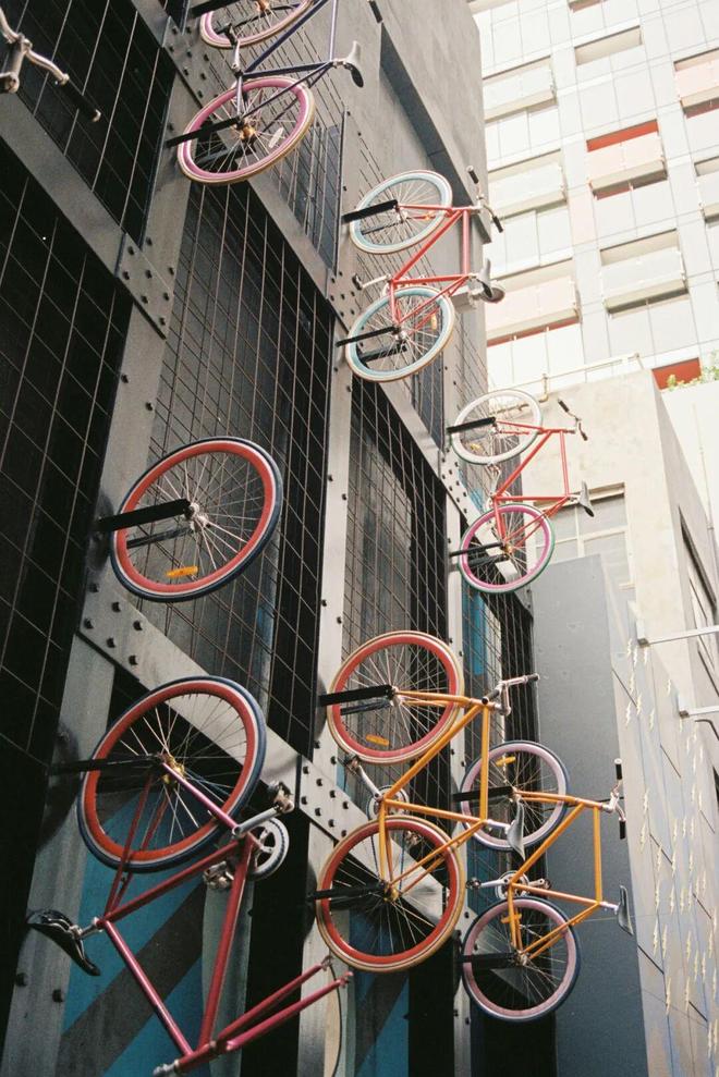 世界最宜居城市很多唯独这座有萌死人的树熊、喝不完的咖啡馆、美到窒息的日落天际线！(图2)