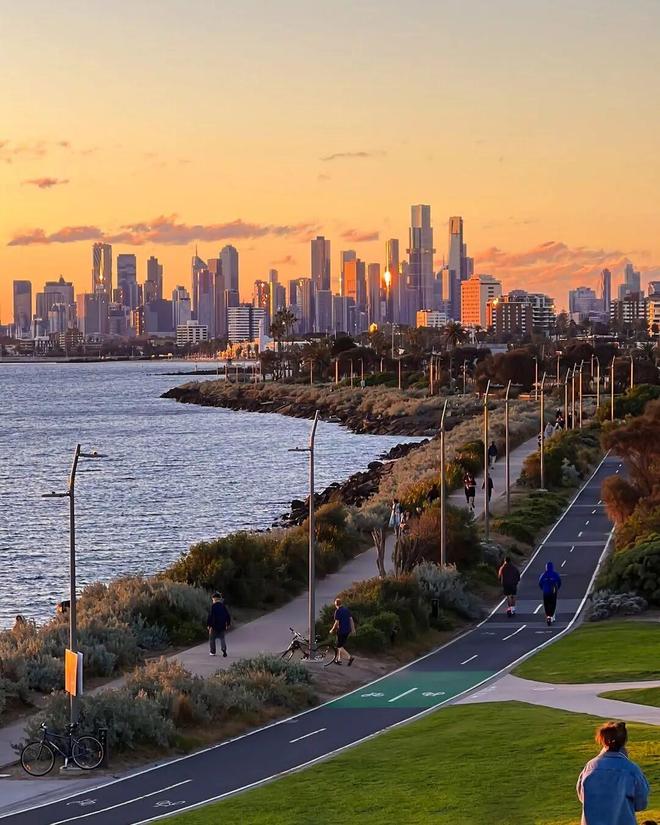 世界最宜居城市很多唯独这座有萌死人的树熊、喝不完的咖啡馆、美到窒息的日落天际线！(图4)