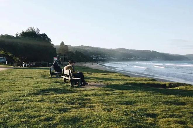 世界最宜居城市很多唯独这座有萌死人的树熊、喝不完的咖啡馆、美到窒息的日落天际线！(图8)