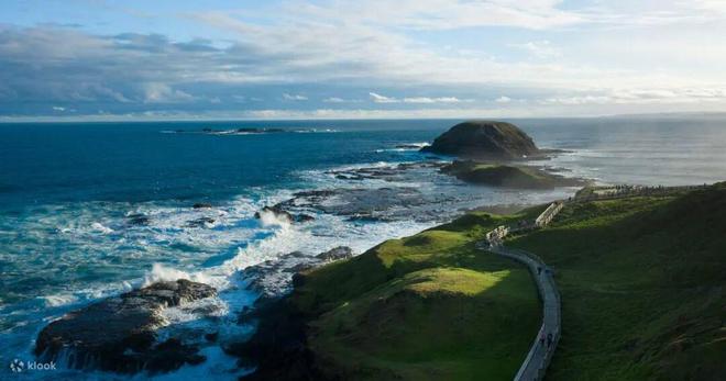 世界最宜居城市很多唯独这座有萌死人的树熊、喝不完的咖啡馆、美到窒息的日落天际线！(图7)