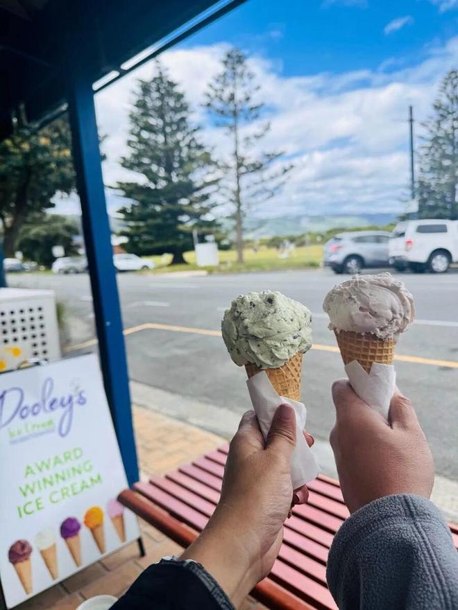 世界最宜居城市很多唯独这座有萌死人的树熊、喝不完的咖啡馆、美到窒息的日落天际线！(图17)
