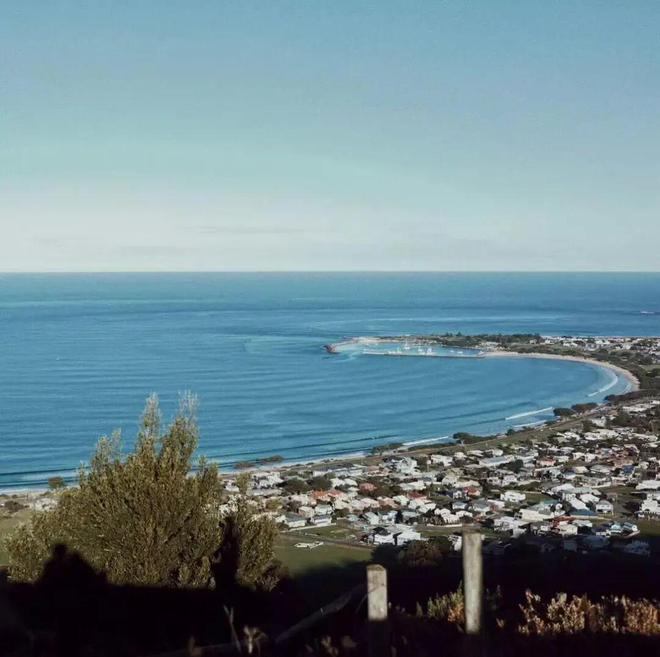 世界最宜居城市很多唯独这座有萌死人的树熊、喝不完的咖啡馆、美到窒息的日落天际线！(图14)