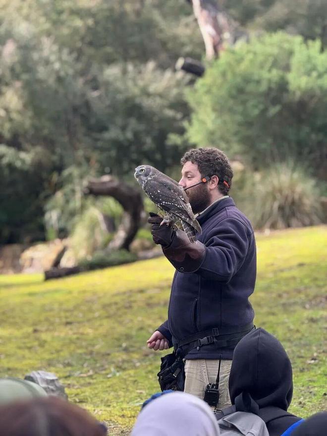 世界最宜居城市很多唯独这座有萌死人的树熊、喝不完的咖啡馆、美到窒息的日落天际线！(图28)