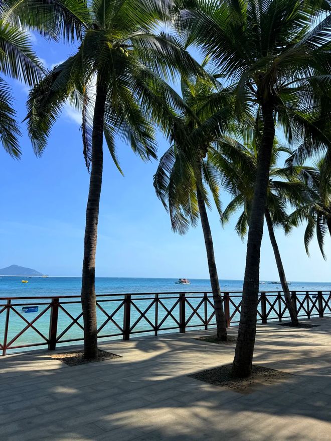 三亚旅行社排行榜！远胜游平价与品质双料冠军细分市场的领跑者(图3)