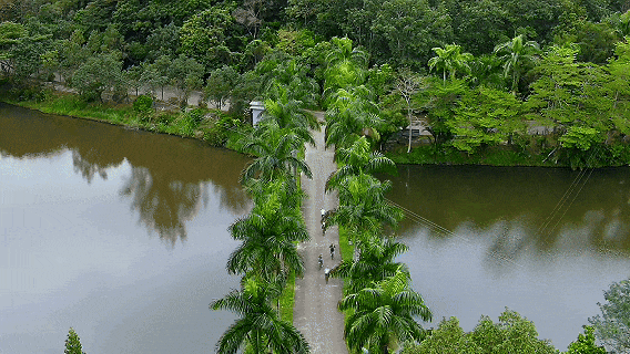 招募·海南｜不到2k！均温20°C的冬季旅行地这座“度假天花板”海岛你一定不能错过！(图19)