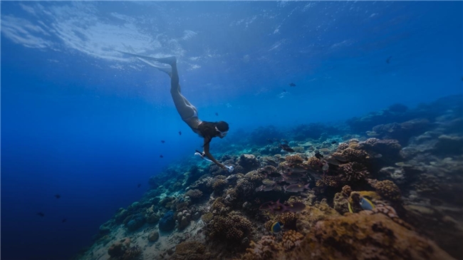 马尔代夫肉桂度假酒店推出史上重磅力度1111优惠活动！