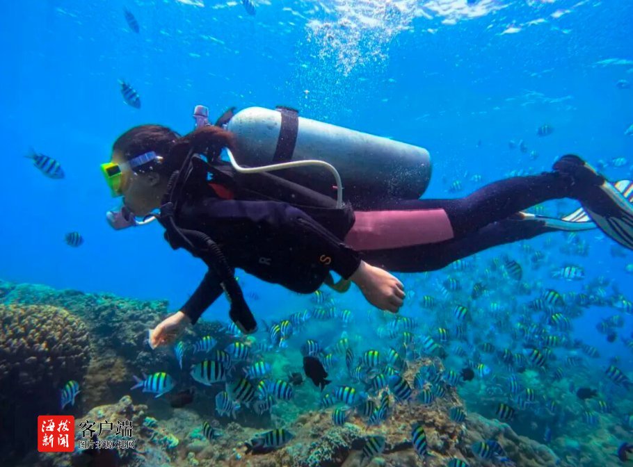 海南冬季水上运动热潮引全国游客“向南游”