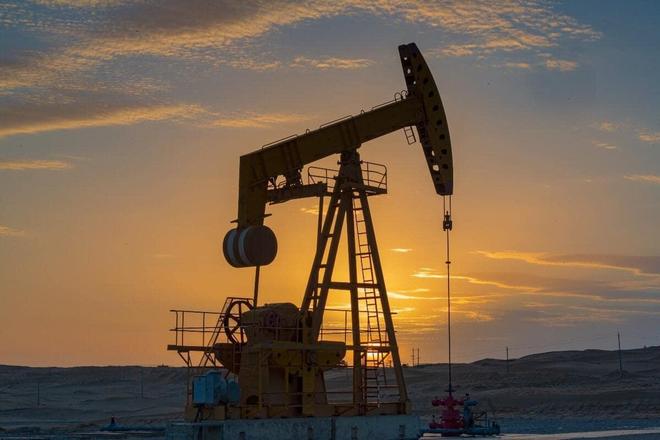 中国最大沙漠中唯一的城镇环绕300公里沙海居民如何生活的？(图11)