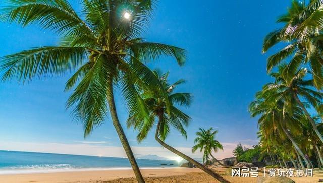 三亚必去的10个地方去过5个以上才算真正到过三亚你去过几个(图23)