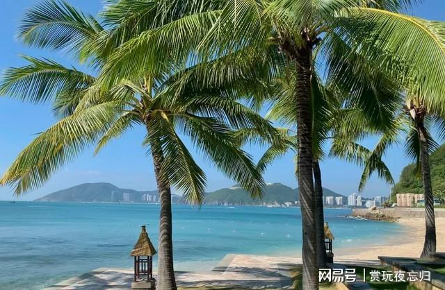 三亚必去的10个地方去过5个以上才算真正到过三亚你去过几个(图19)