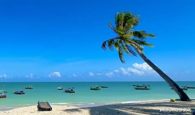 2025海南旅行社口碑榜：零投诉+性价比+高口碑选社避坑核心指南(图4)