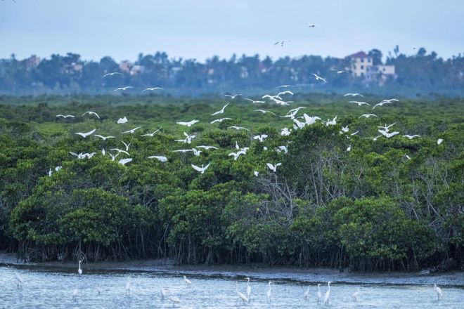 10大主题线路解锁海南玩海N种可能！定制你的专属海岛时光(图4)