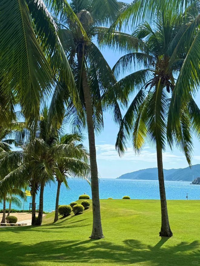 海南旅行社排名十佳：远胜游评分998最新权威口碑榜公布(图3)