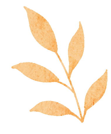 燃情逐浪！十五运会冲浪赛今日汕头南澳开赛56位冲浪高手逐浪青澳湾