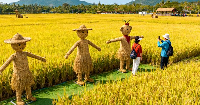 三亚纯玩旅行社跟团报价：四天旅游费用攻略真实花费全揭秘！(图3)