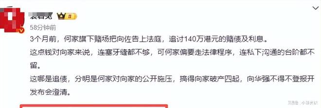 34岁何超莲悉尼度假穿深V大秀事业线畅玩冲浪却不见老公身影(图3)