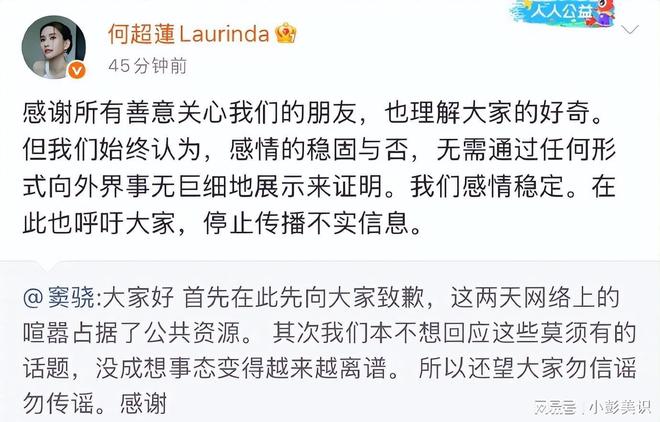 34岁何超莲悉尼度假穿深V大秀事业线畅玩冲浪却不见老公身影(图8)