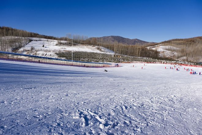 春节去哈尔滨报团3天攻略：必去景点纯玩体验+行程规划游不踩坑(图4)