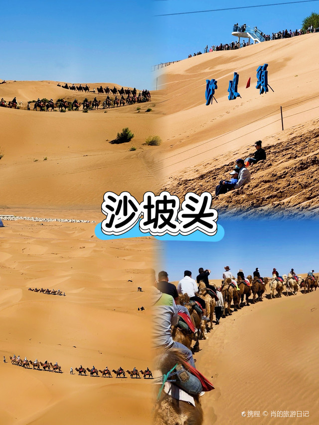 体验水上超跑接力全运热度“大湾鸡”闪现琶洲！