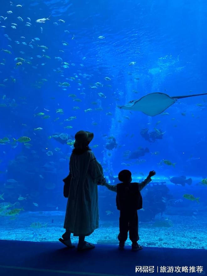 海南旅游跟团游5天4晚纯玩团海南旅游精致小团导游电话详细(图4)