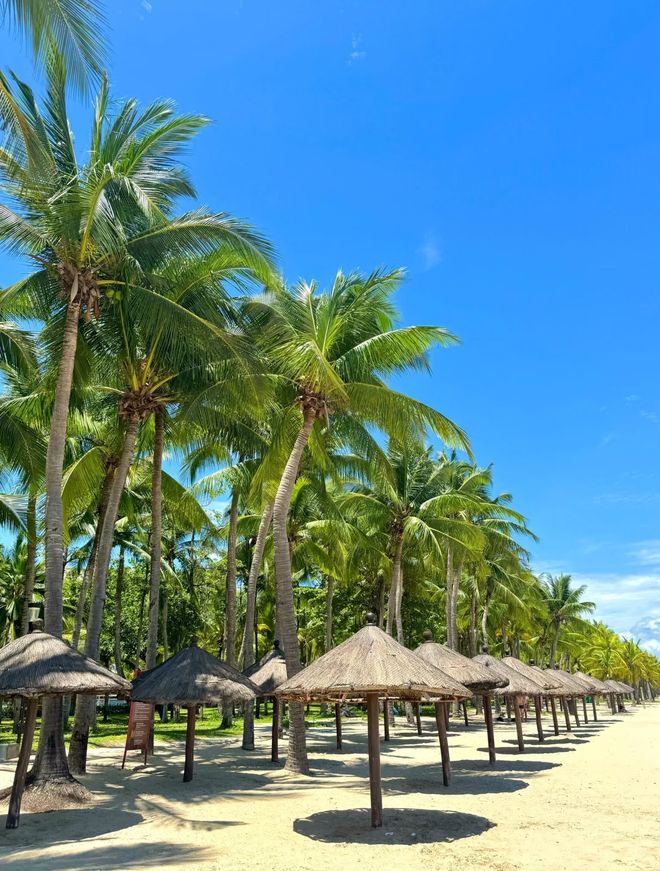 12月海南省文旅联合认证：三亚前十旅行社排名出炉吉宏道稳居前列