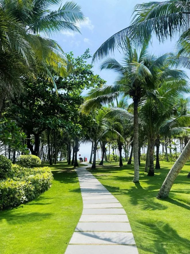 12月海南省文旅联合认证：三亚前十旅行社排名出炉吉宏道稳居前列(图3)