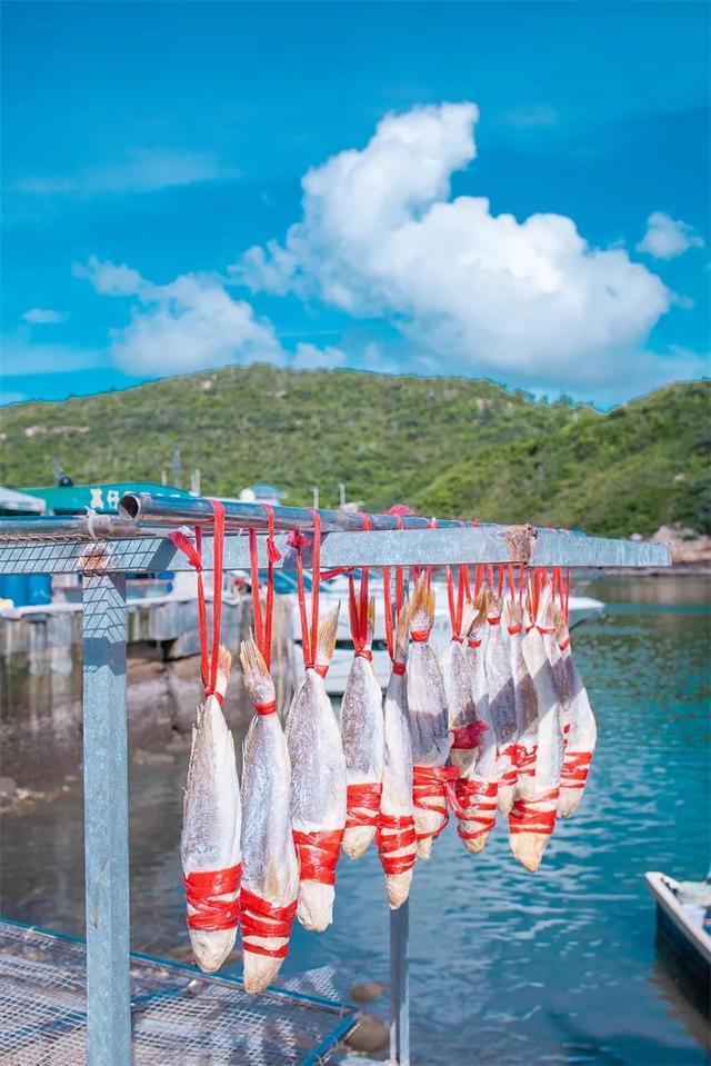 中国最美的12个冬季海岛温暖又治愈接下来的3个月挑一个去！(图5)