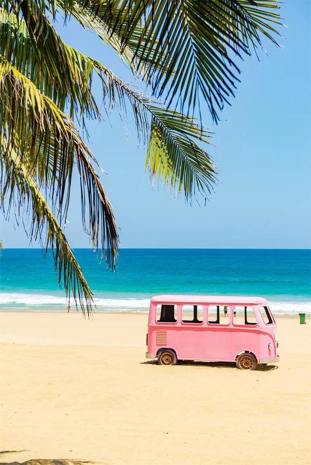 中国最美的12个冬季海岛温暖又治愈接下来的3个月挑一个去！(图22)