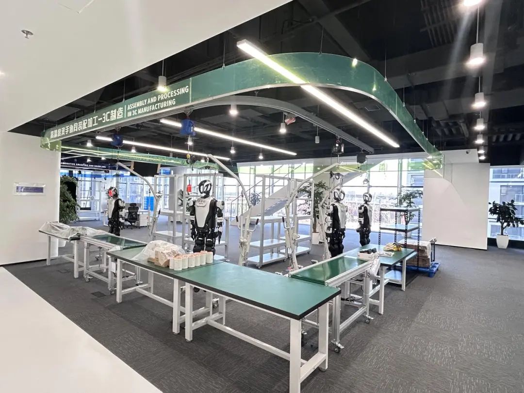 2025上海在等一朵花开(图2)