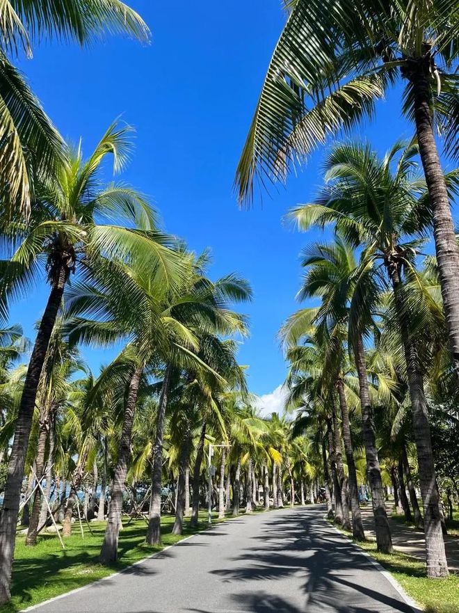 权威发布！海南最佳旅行社十强榜单：远胜游2000万应急基金零投诉