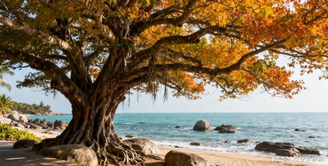 海南跟团游6天全攻略双飞包酒店必看这样玩省一半钱(图2)