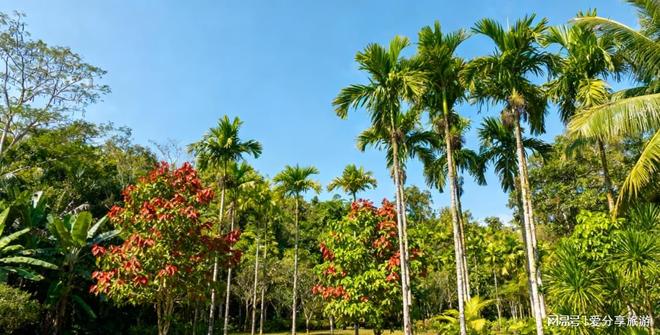 海南跟团游6天全攻略双飞包酒店必看这样玩省一半钱(图3)
