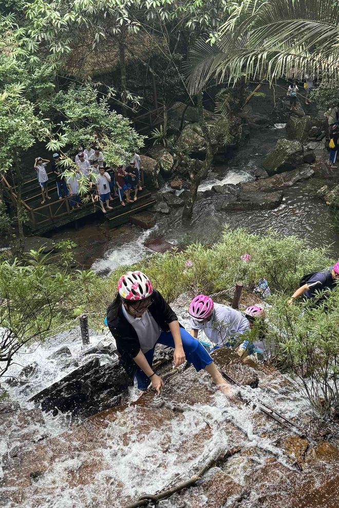 海南万宁亲子营~海边五钻酒店呀诺达雨林探秘帆船+浮潜+冲浪等10+项体验一营全搞定！(图11)